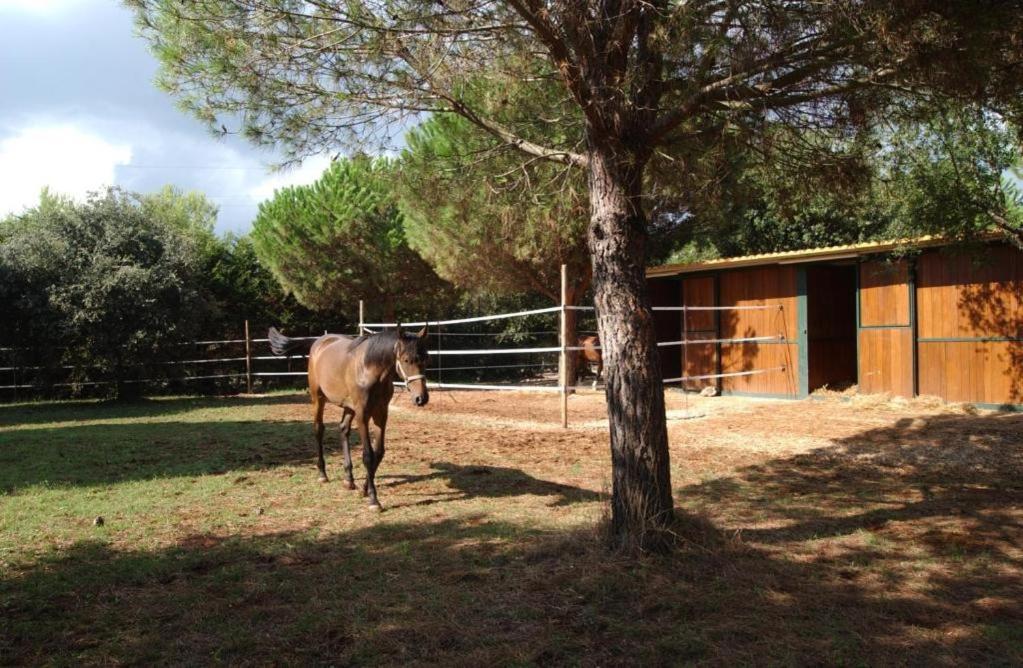 Tenuta Don Monaco - Agriturismo Santa Cesarea Terme Exteriör bild